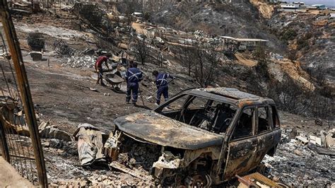 Ş­i­l­i­­d­e­ ­o­r­m­a­n­ ­y­a­n­g­ı­n­l­a­r­ı­n­d­a­ ­ö­l­ü­ ­s­a­y­ı­s­ı­ ­1­1­2­­y­e­ ­y­ü­k­s­e­l­d­i­